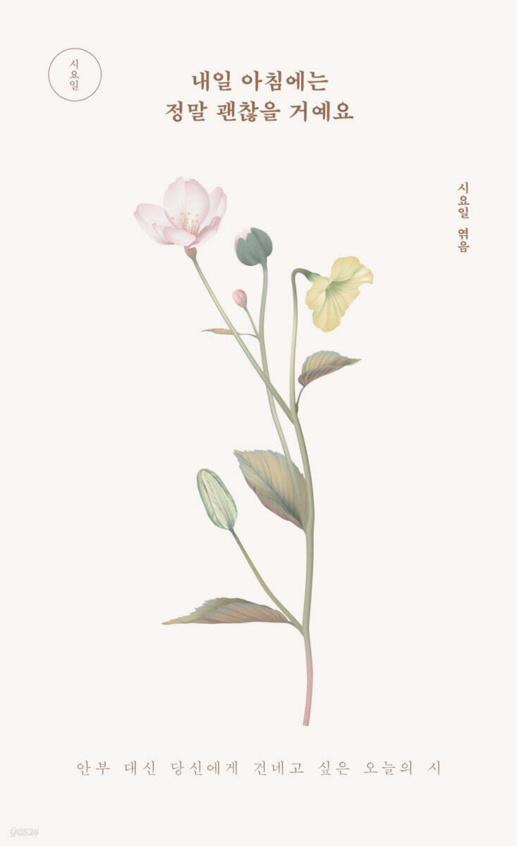 내일 아침에는 정말 괜찮을 거예요