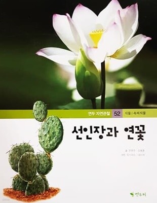 선인장과 연꽃 - 연두 자연관찰 52