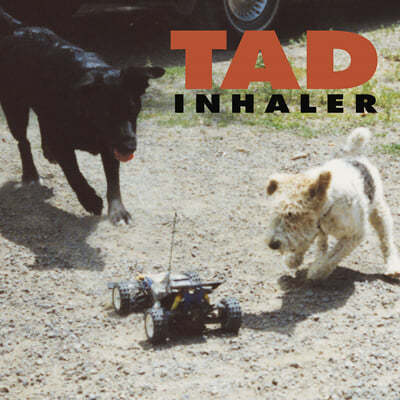 Tad — 3집 Inhaler 앨범 커버