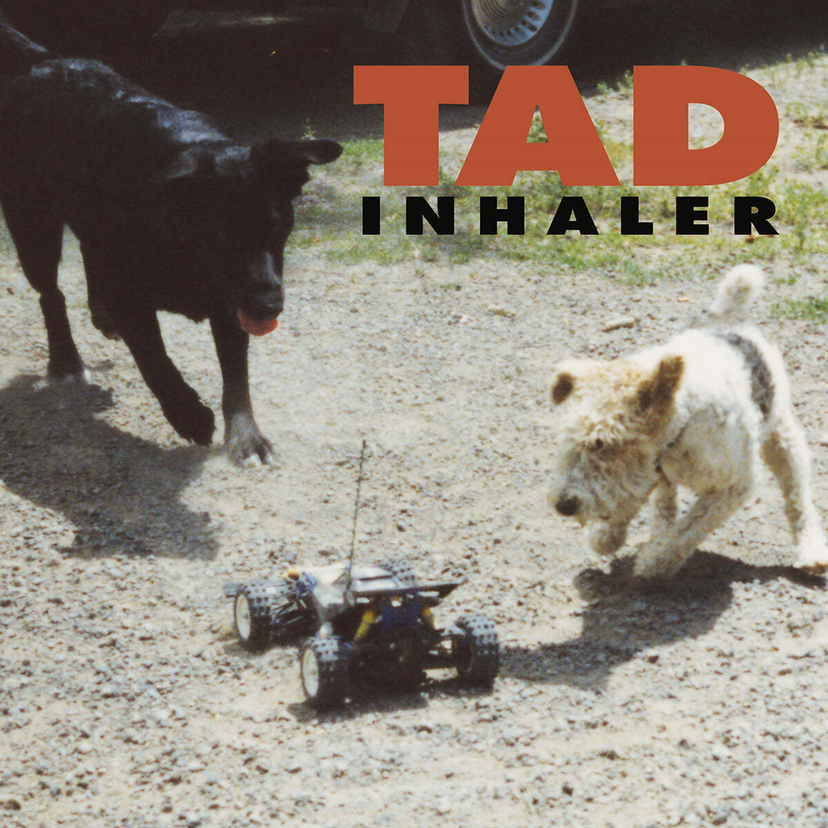 Tad (태드) - 3집 Inhaler [블랙 &amp; 레드 소용돌이 머트 믹스 컬러 LP]