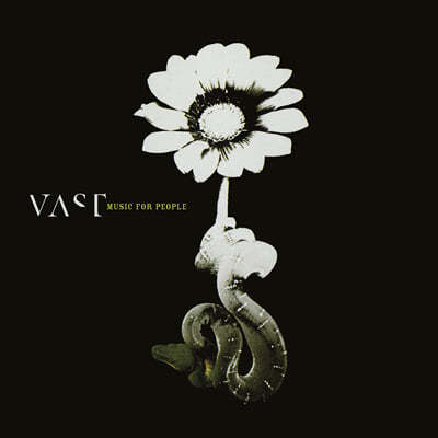 Vast — 2집 Music for People 앨범 커버