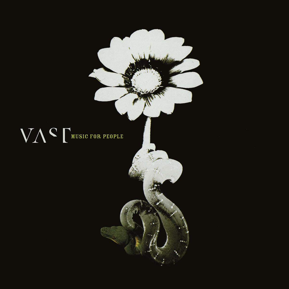 Vast (바스트) - 2집 Music for People [세르펜티네 그린 컬러 LP]