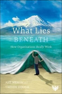 What Lies Beneath: How Organisations Really Work