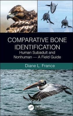 Comparative Bone Identification