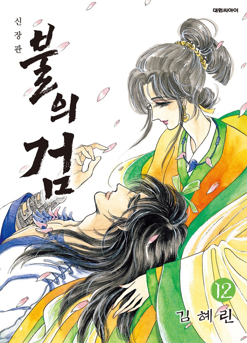 불의 검 (신장판) 12권 (완결)