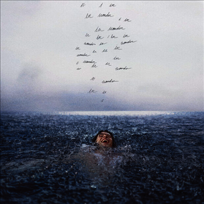 Shawn Mendes - Wonder (Silver LP)