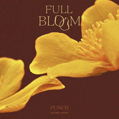 펀치 (Punch) - 미니앨범 2집 : Full Bloom (만개)