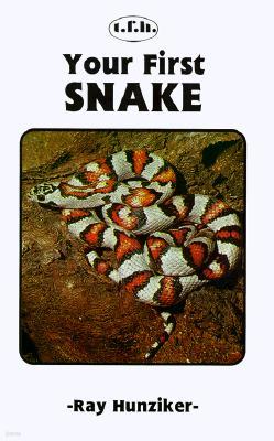 Your First Snake
