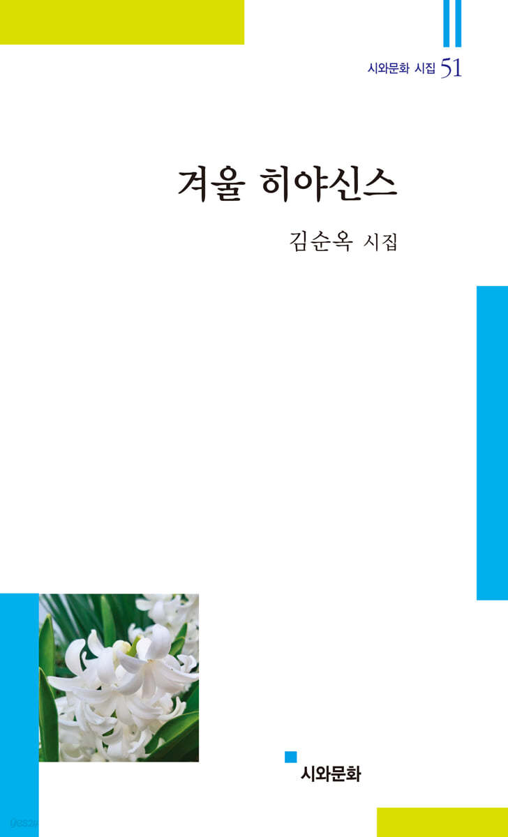 겨울 히야신스