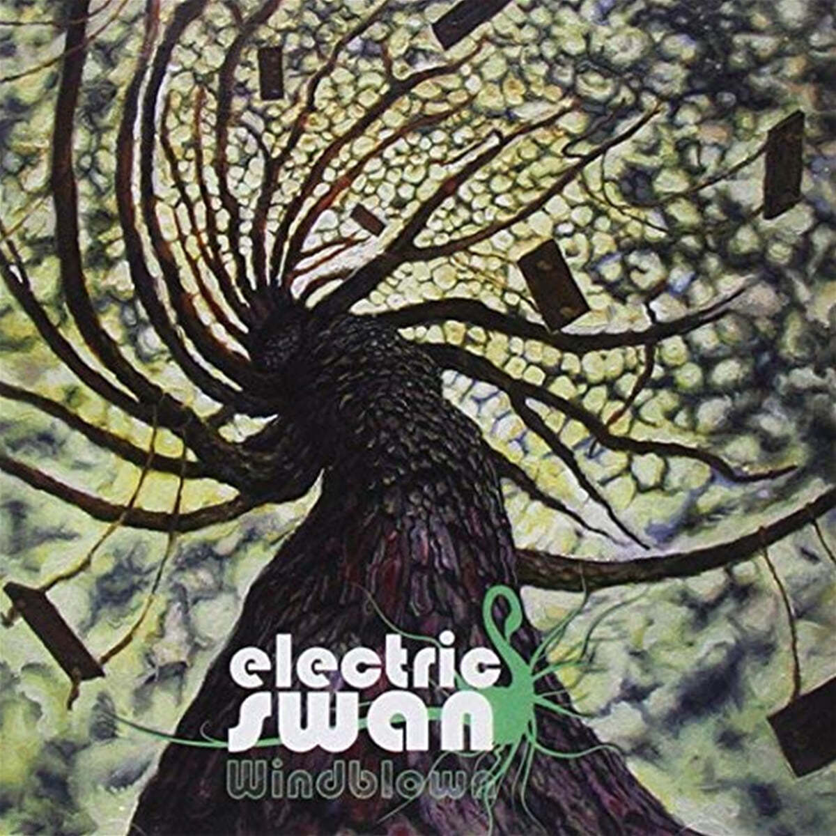 Electric Swan (일렉트릭 스완) - Windblown [2LP] 