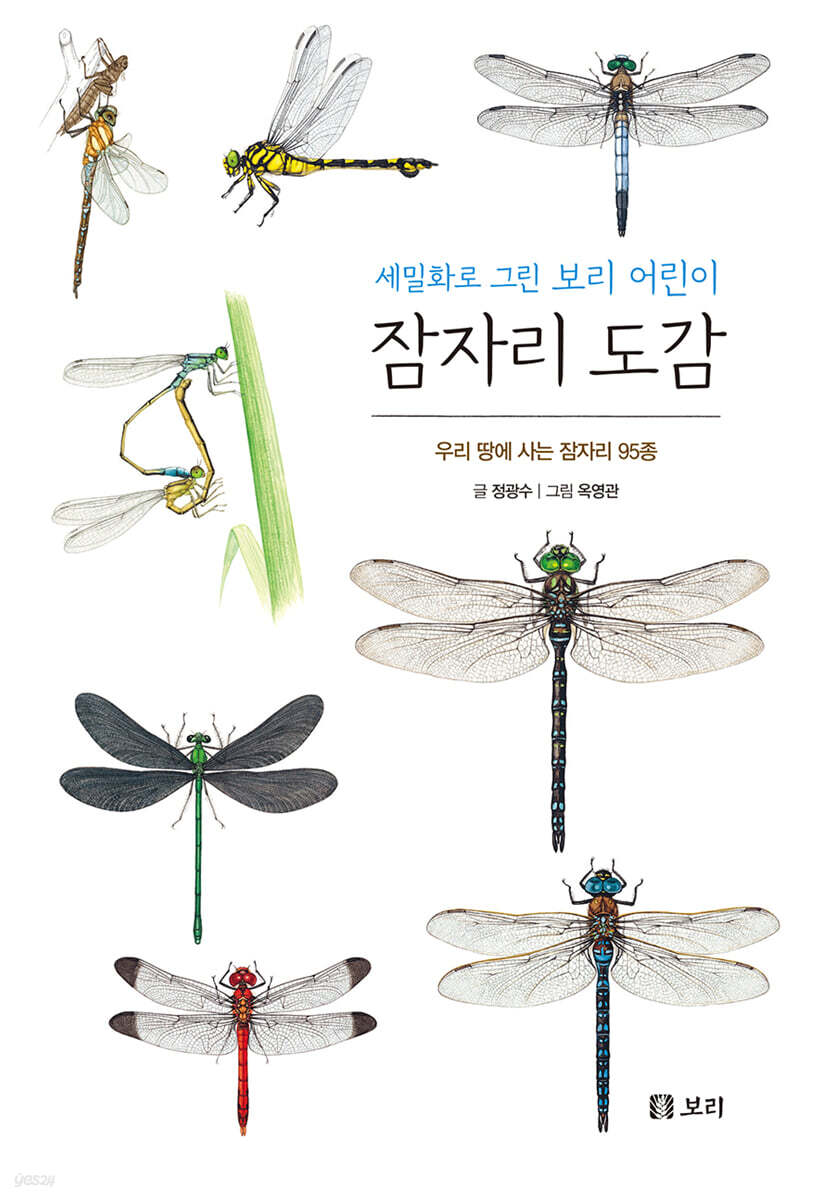 잠자리 도감 : 세밀화로 그린 보리 어린이 도감