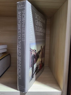 Dictionnaire general du surrealisme et de ses environs (GRANDS DICTIONNAIRES) (French Edition)   (French) Hardcover