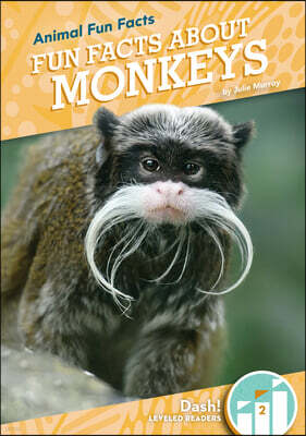 Abdo Zoom Fun Facts about Monkeys