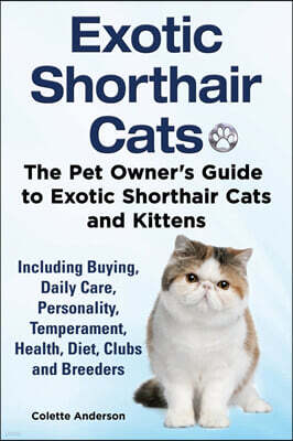 Evolution Knowledge Limited Exotic Shorthair Cats The Pet Owner's Guide to Exotic Shorthair Cats and Kittens  Including Buying, Daily Care, Personality, Temperament, Health, Diet, Clubs and Breeders