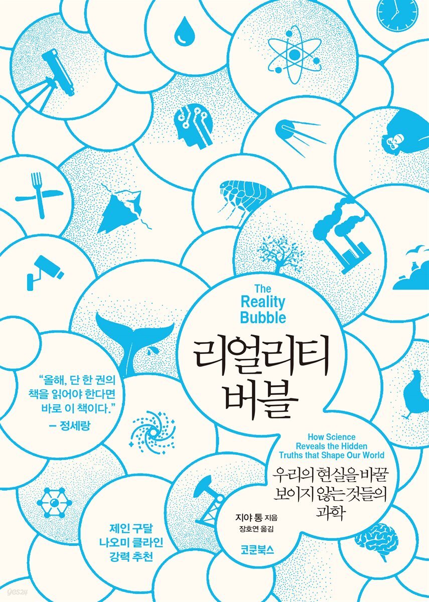 리얼리티 버블