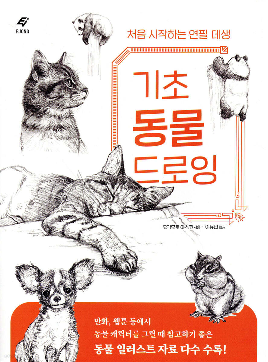 기초 동물 드로잉