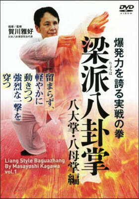 DVD 梁派八卦掌 八大掌.八母掌編