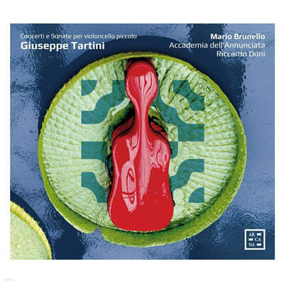 Mario Brunello 타르티니: 첼로를 위한 협주곡과 소나타 (Giuseppe Tartini: Works for Cello Concertos and Cello Sonatas)  