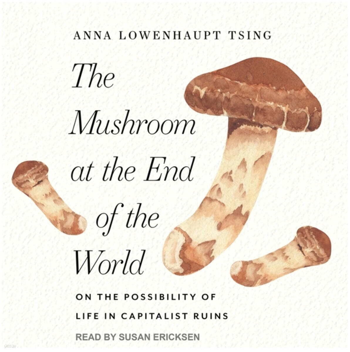 The Mushroom at the End of the World: On the Possibility of Life in Capitalist Ruins