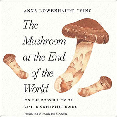 The Mushroom at the End of the World Lib/E: On the Possibility of Life in Capitalist Ruins