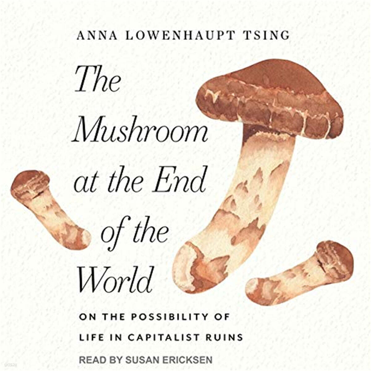 The Mushroom at the End of the World Lib/E: On the Possibility of Life in Capitalist Ruins