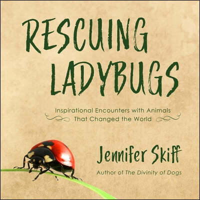 Rescuing Ladybugs Lib/E: Inspirational Encounters with Animals That Changed the World