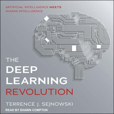 The Deep Learning Revolution