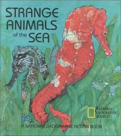 Strange Animals of the Sea