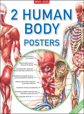 Human Body Poster Pack