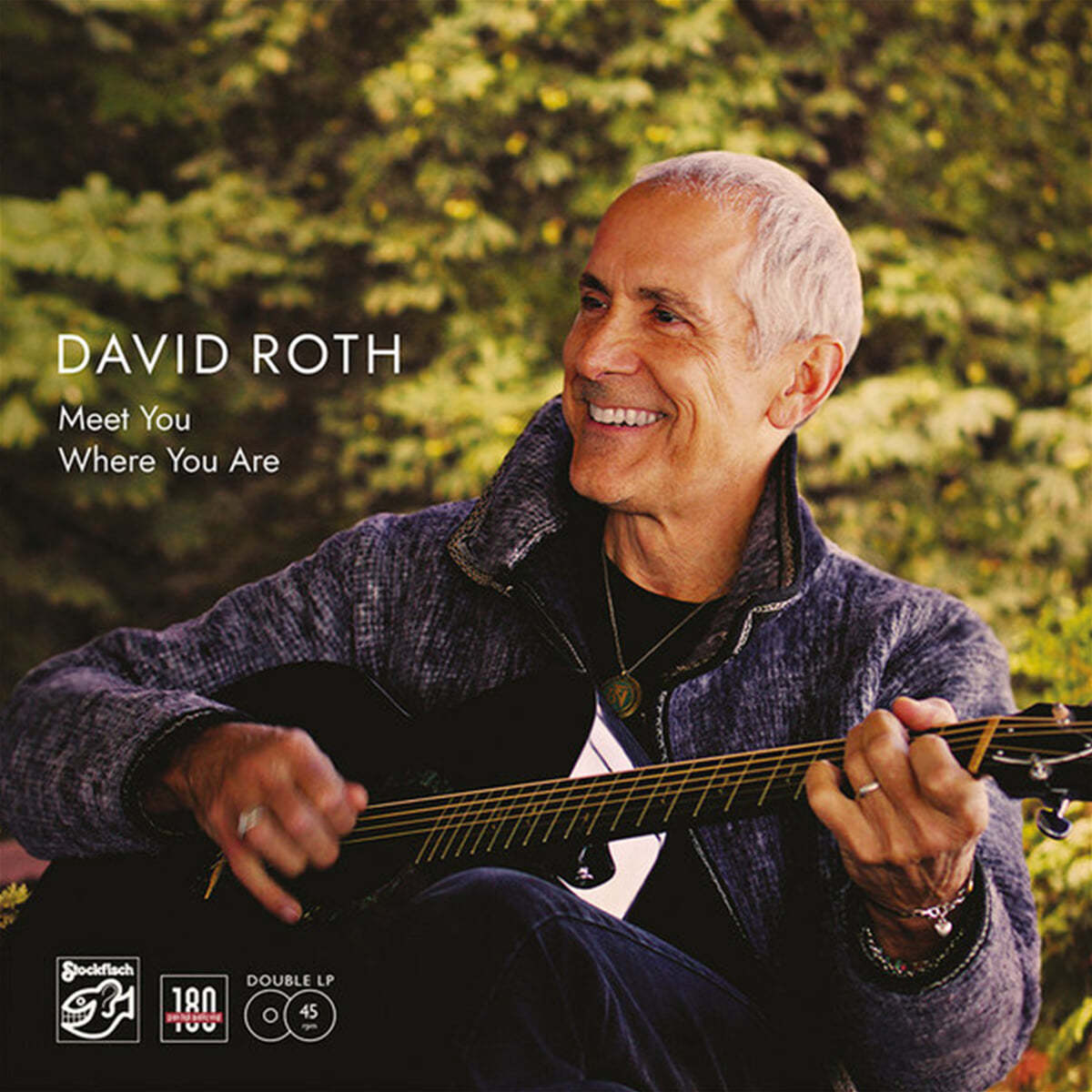 David Roth (데이빗 로스) - Meet you where you are [2LP]  