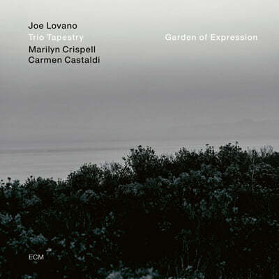 Joe Lovano (조 로바노) - Garden of Expression [LP] 