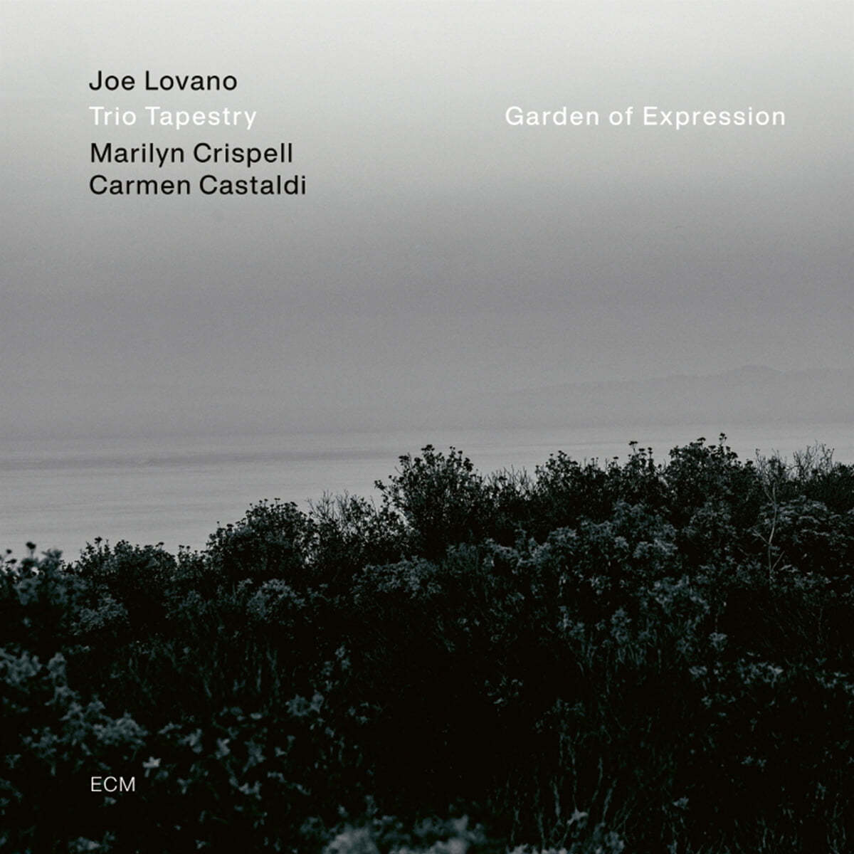 Joe Lovano (조 로바노) - Garden of Expression [LP]
