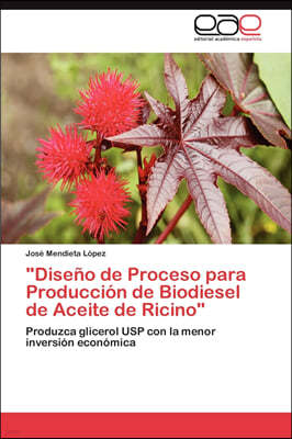"Diseno de Proceso para Produccion de Biodiesel de Aceite de Ricino"