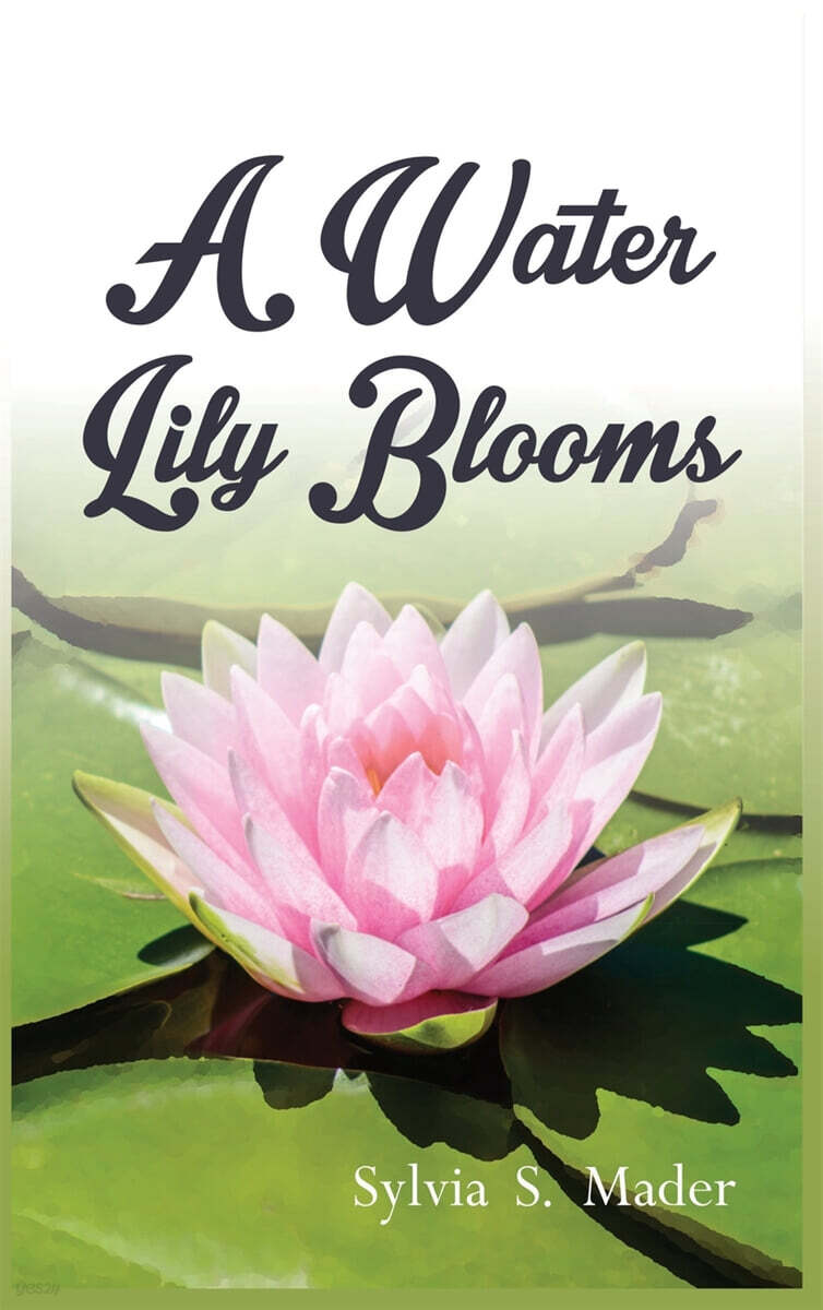 A Water Lily Blooms 예스24