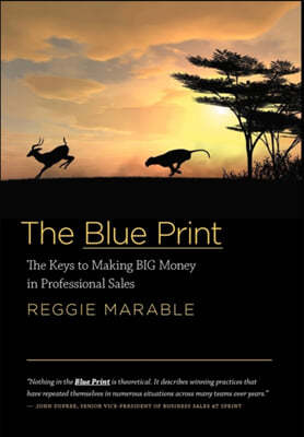 The Blue Print: The Keys to Making Big Money in Professional Sales