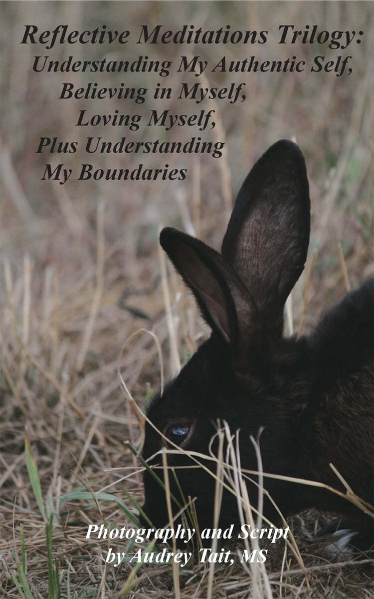 Reflective Meditations Trilogy: Understanding My Authentic Self, Believing in Myself, Loving Myself, Plus Understanding My Boundaries