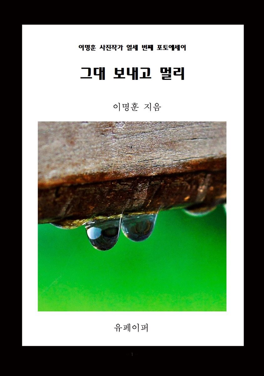 그대 보내고 멀리