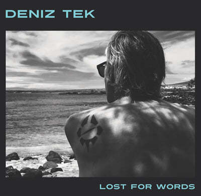 Deniz Tek — Lost For Words 앨범 커버