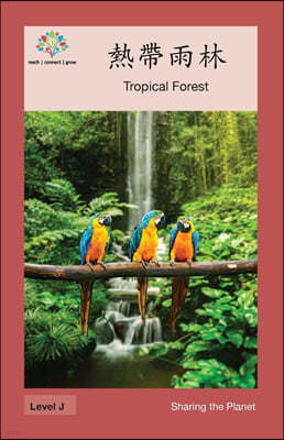 : Tropical Forest