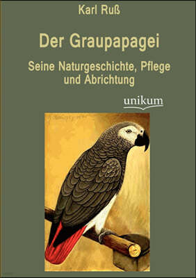 Der Graupapagei