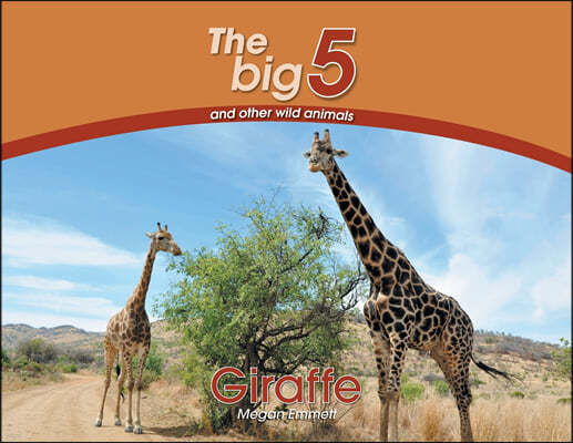 Giraffe: The Big 5 and Other Wild Animals