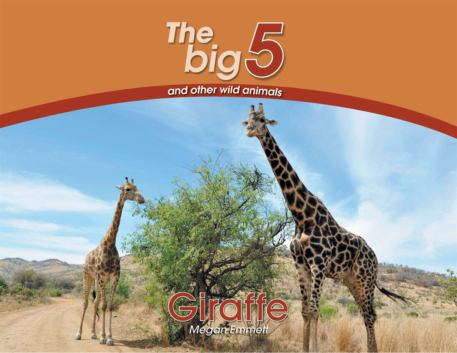 Giraffe: The Big 5 and Other Wild Animals