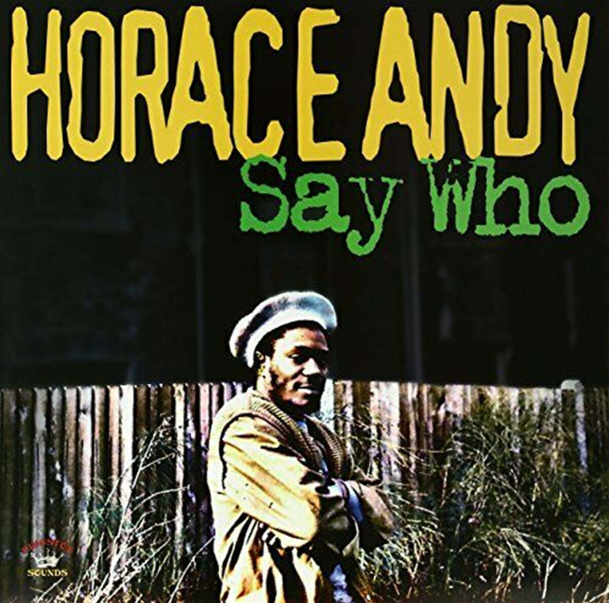 Horace Andy (호레이스 앤디) - Say Who [LP]