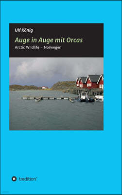 Auge in Auge mit Orcas