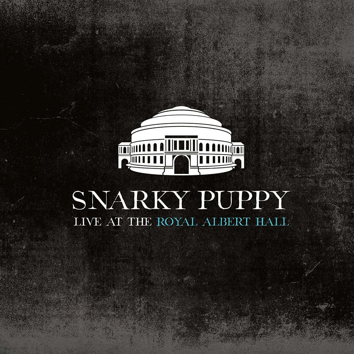 Snarky Puppy (스나키 퍼피) - Live at Royal Albert Hall