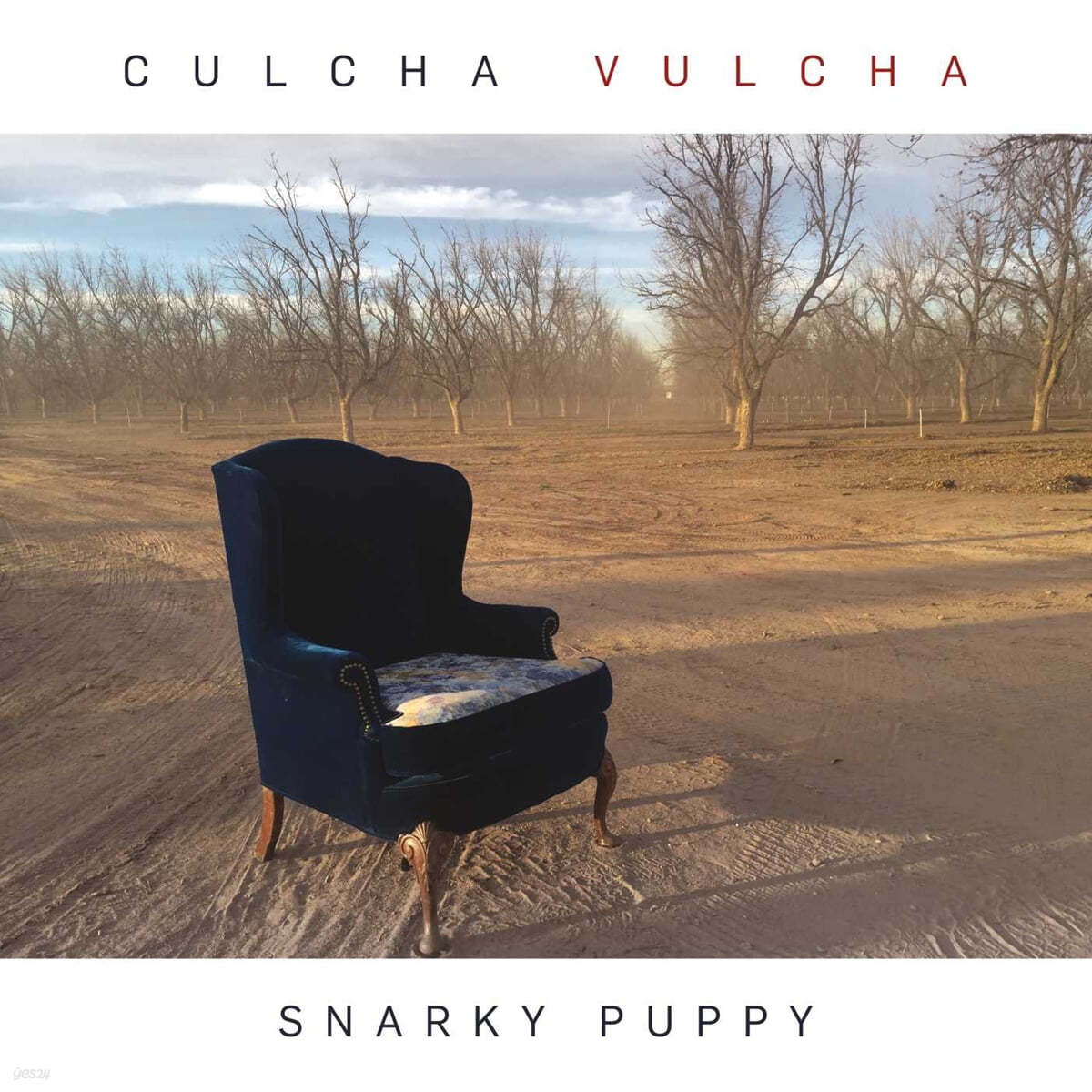 Snarky Puppy (스나키 퍼피) - Culcha Vulcha