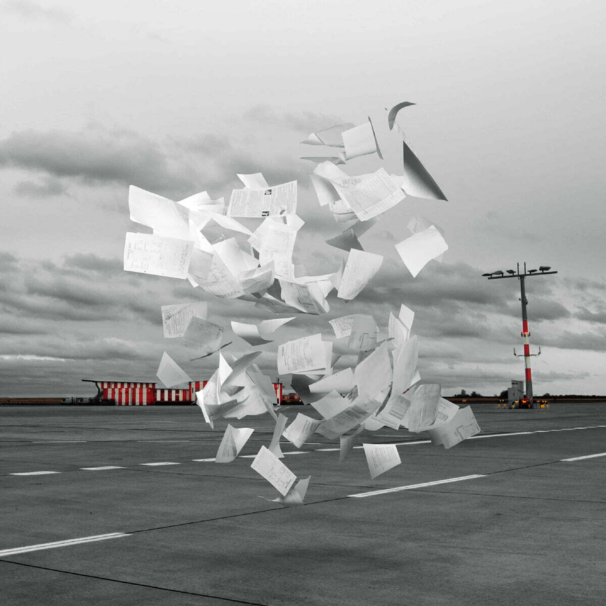 White Ash (화이트 애쉬) - Crowds [7인치 싱글 Vinyl]