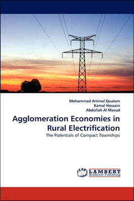 Agglomeration Economies in Rural Electrification