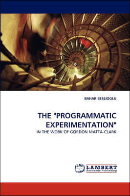 The "Programmatic Experimentation"