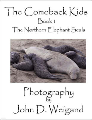"The Comeback Kids" Book 1, The Northern Elephant Seals